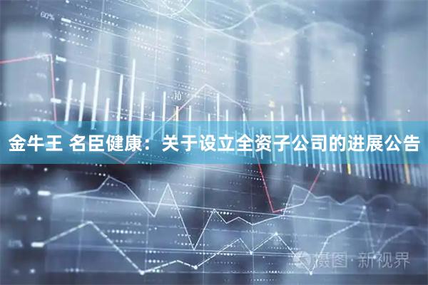金牛王 名臣健康：关于设立全资子公司的进展公告