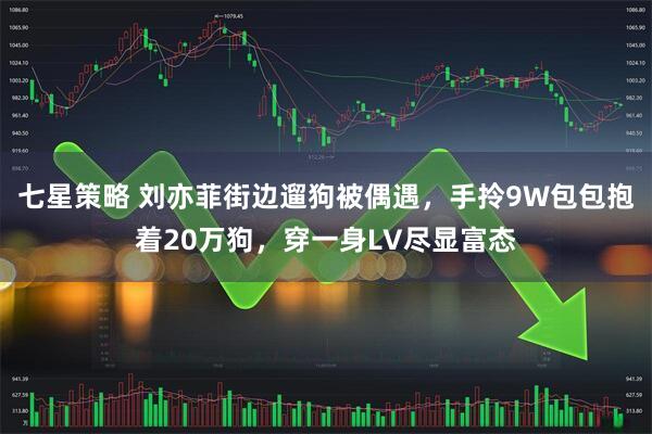 七星策略 刘亦菲街边遛狗被偶遇，手拎9W包包抱着20万狗，穿一身LV尽显富态