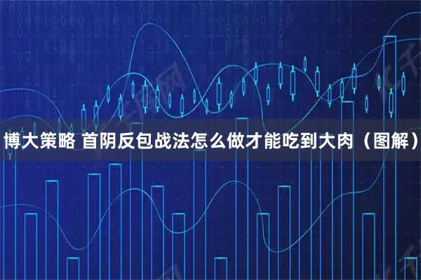 博大策略 首阴反包战法怎么做才能吃到大肉（图解）