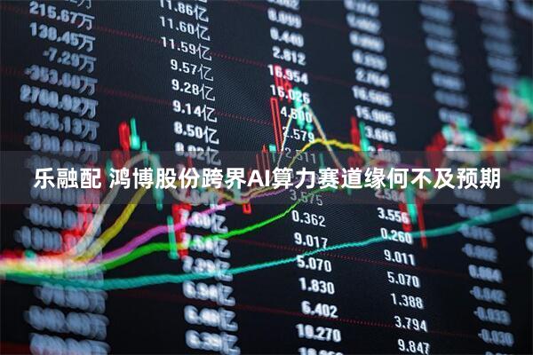 乐融配 鸿博股份跨界AI算力赛道缘何不及预期